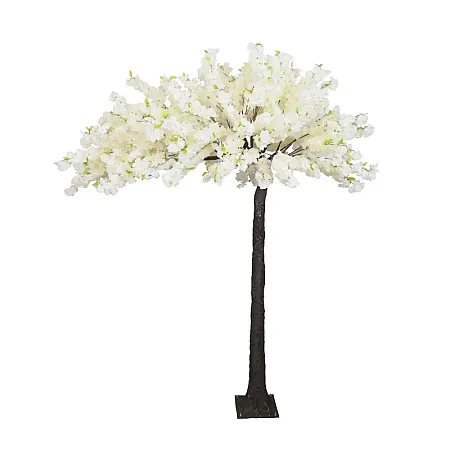 images/uploads/22223/thumb_22021 web.webp